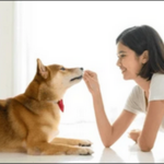 【6歳の女の子でもできた犬のしつけ口コミ】特徴や魅力を解説