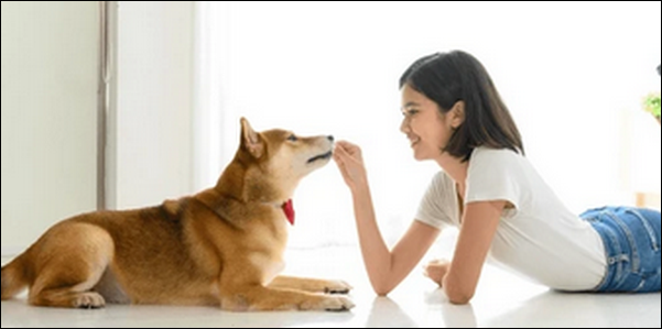 【6歳の女の子でもできた犬のしつけ口コミ】特徴や魅力を解説