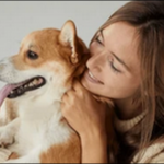 【藤井聡の犬のしつけ法口コミ】お勧めの人や効果を徹底解説
