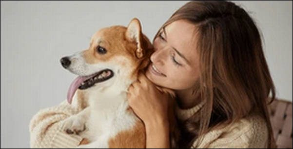 【藤井聡の犬のしつけ法口コミ】お勧めの人や効果を徹底解説