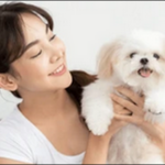 【森田誠の犬のしつけ法口コミ】お勧めの人・お勧めでない人を解説