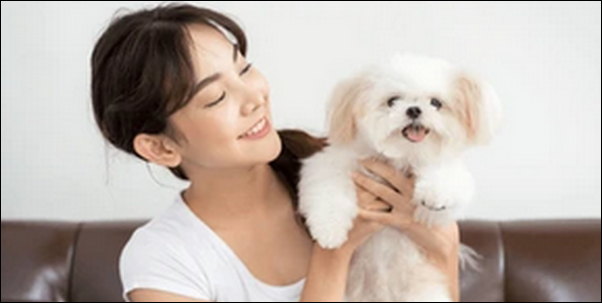 【森田誠の犬のしつけ法口コミ】特徴やお勧めの人を徹底解説